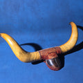 Lot 023 - Antique Mounted Steer Horns with Velvet-Covered Wall Plaque and Horn Cup, 27-3/4" L