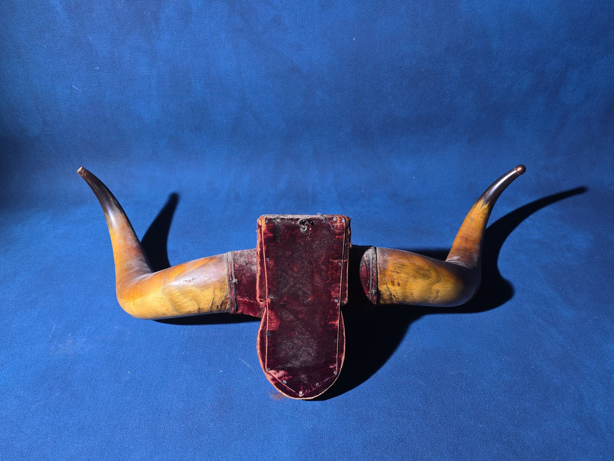 Antique Mounted Steer Horns with Velvet-Covered Wall Plaque and Horn Cup