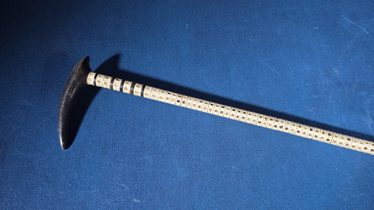 Antique Shark Vertebrae Walking Cane with Carved Wood Handle