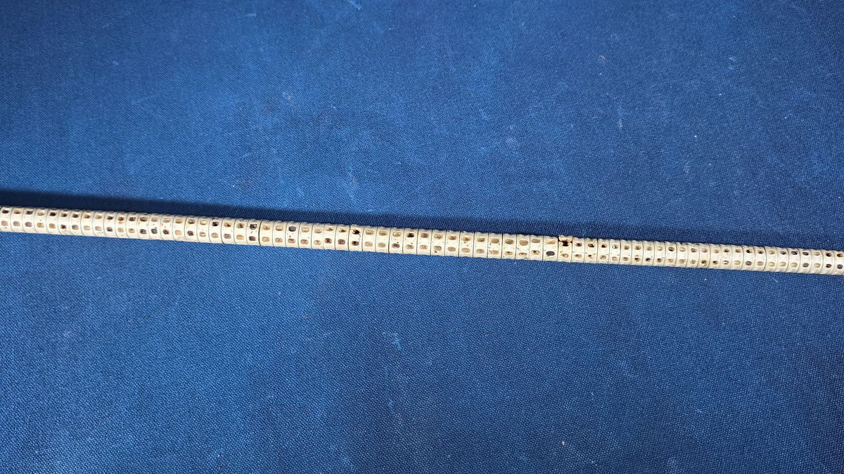 Antique Shark Vertebrae Walking Cane with Carved Wood Handle