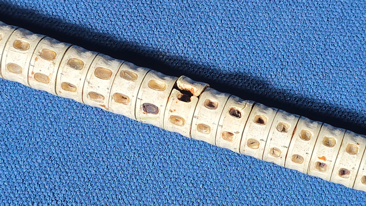 Antique Shark Vertebrae Walking Cane with Carved Wood Handle