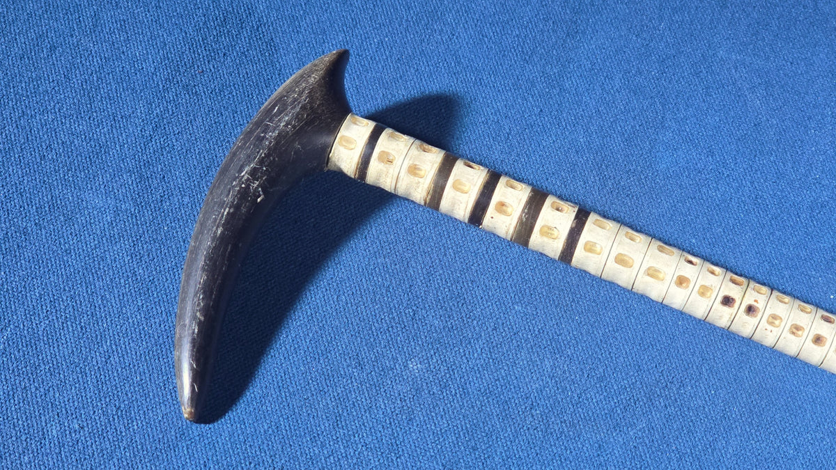 Antique Shark Vertebrae Walking Cane with Carved Wood Handle