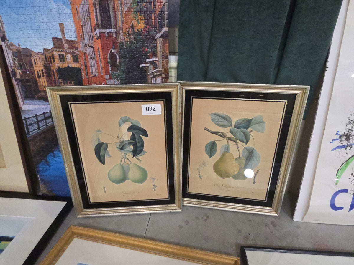 pair of vintage Botanical prints