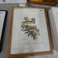 Lot 095 - Vintage Print of Wood Ducks