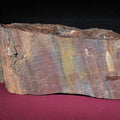 Lot 101 - Large Polychrome Petrified Wood Specimen, 20-1/2" L