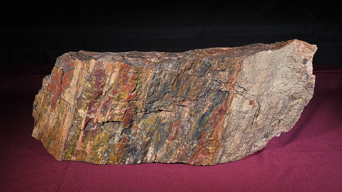 Large Polychrome Petrified Wood Specimen