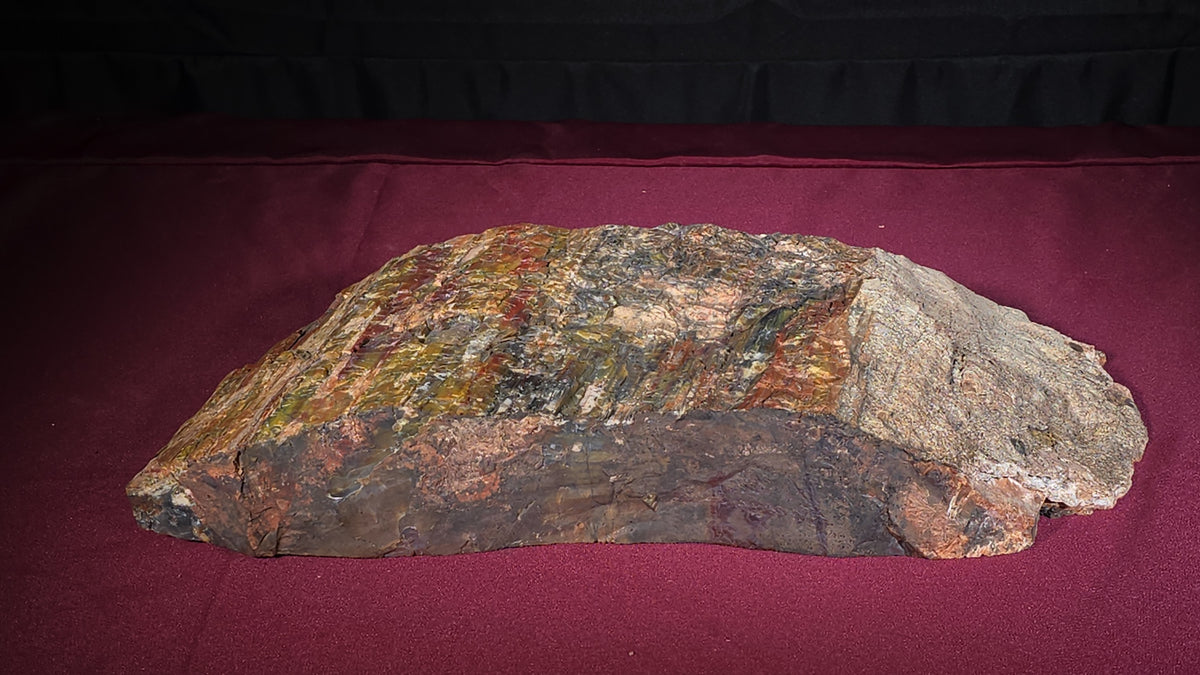 Large Polychrome Petrified Wood Specimen