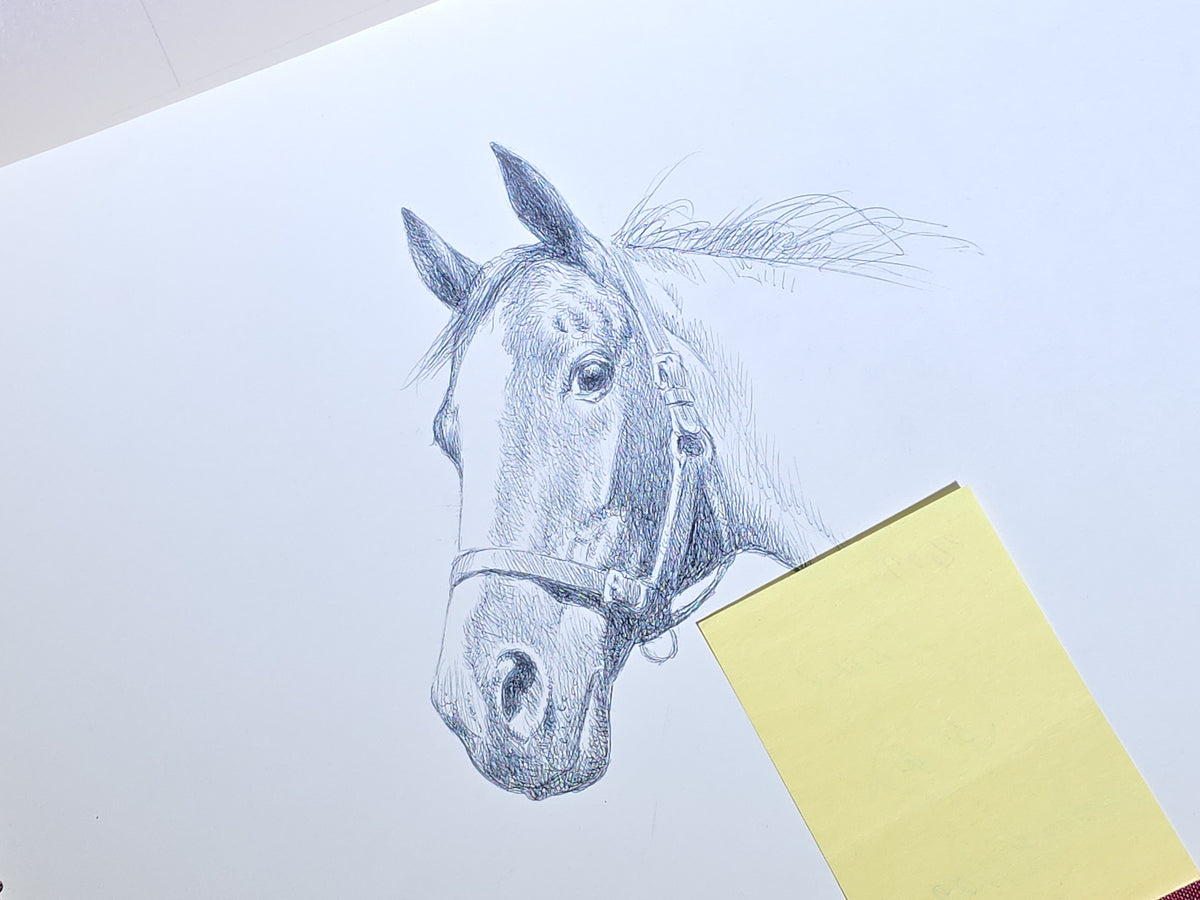 Grouping of Six Vintage Original Pen and Ink Drawings on Paper by C.W. Anderson, Equestrian Subjects with Verso Notations for Book Publication