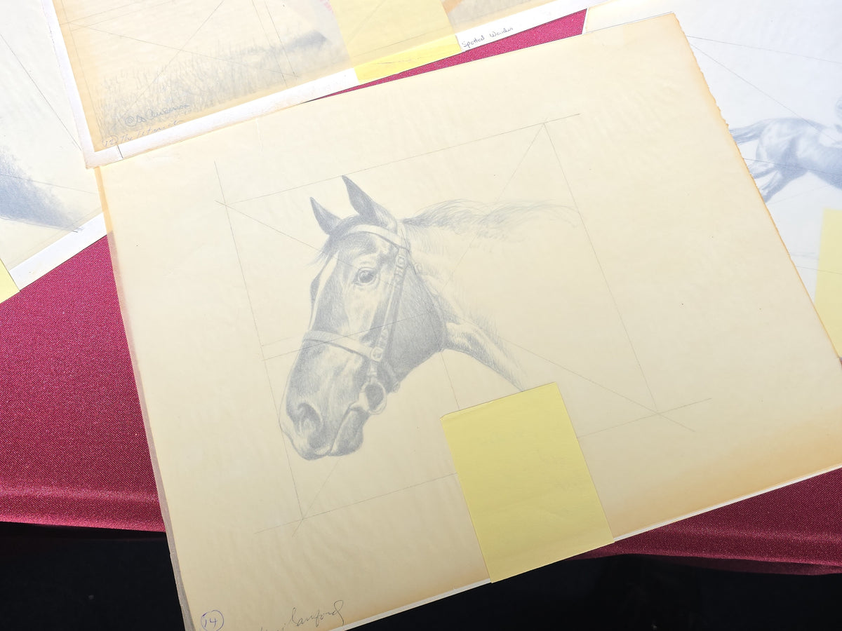 Grouping of Seven Vintage Original Drawings by C. W. Anderson, Equestrian Subjects including Brown Jack, Spotted Wonder, and Right Royal, with Manuscript Notes