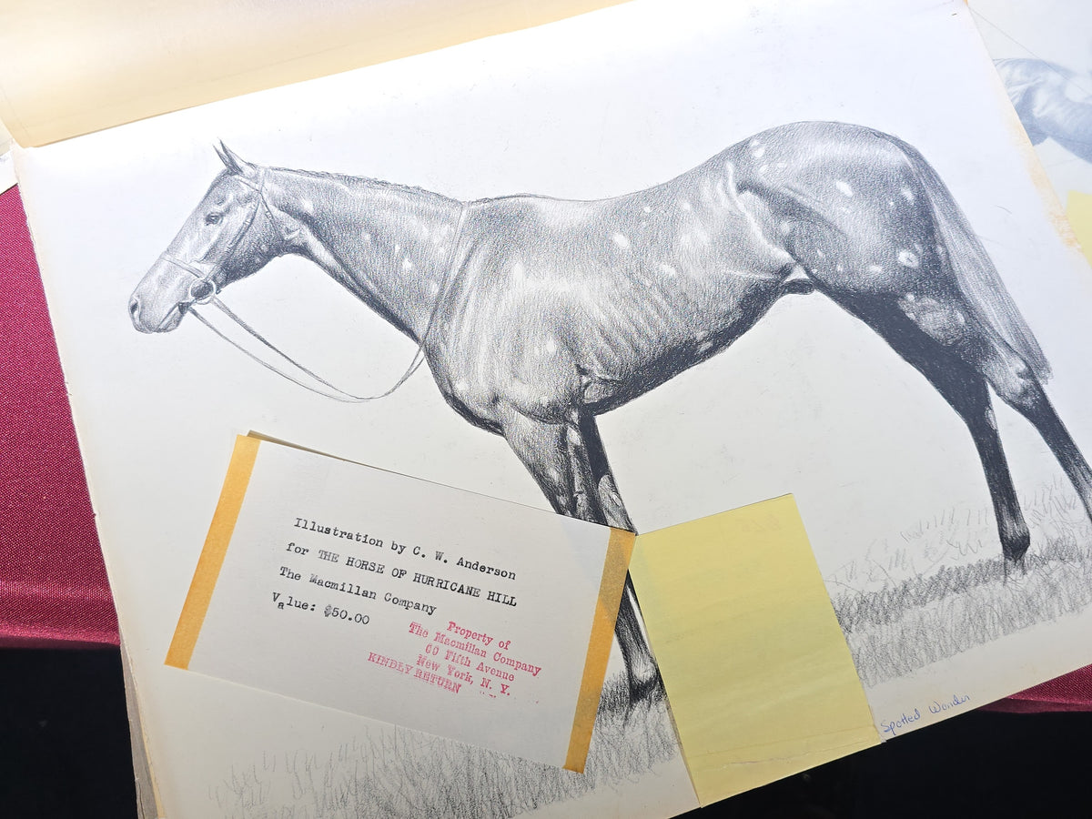 Grouping of Seven Vintage Original Drawings by C. W. Anderson, Equestrian Subjects including Brown Jack, Spotted Wonder, and Right Royal, with Manuscript Notes