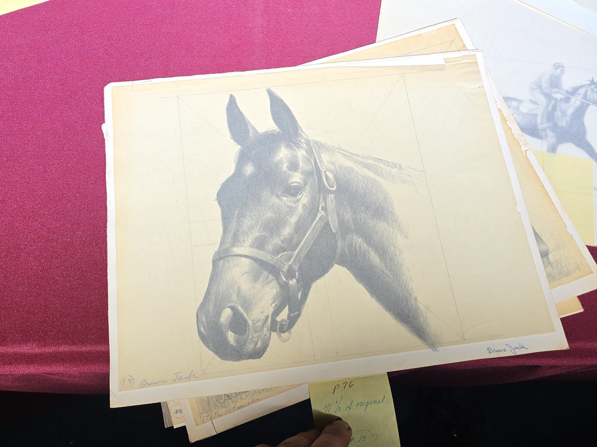 Grouping of Seven Vintage Original Drawings by C. W. Anderson, Equestrian Subjects including Brown Jack, Spotted Wonder, and Right Royal, with Manuscript Notes