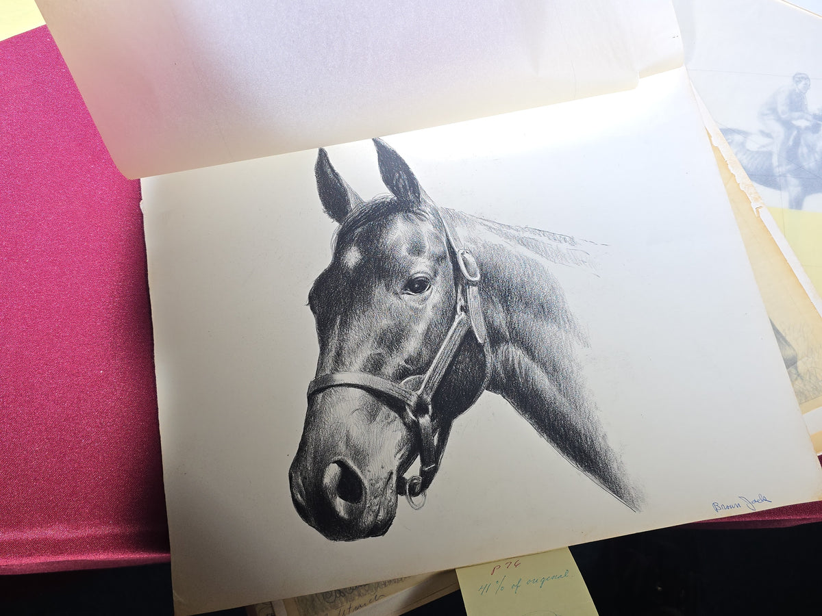 Grouping of Seven Vintage Original Drawings by C. W. Anderson, Equestrian Subjects including Brown Jack, Spotted Wonder, and Right Royal, with Manuscript Notes