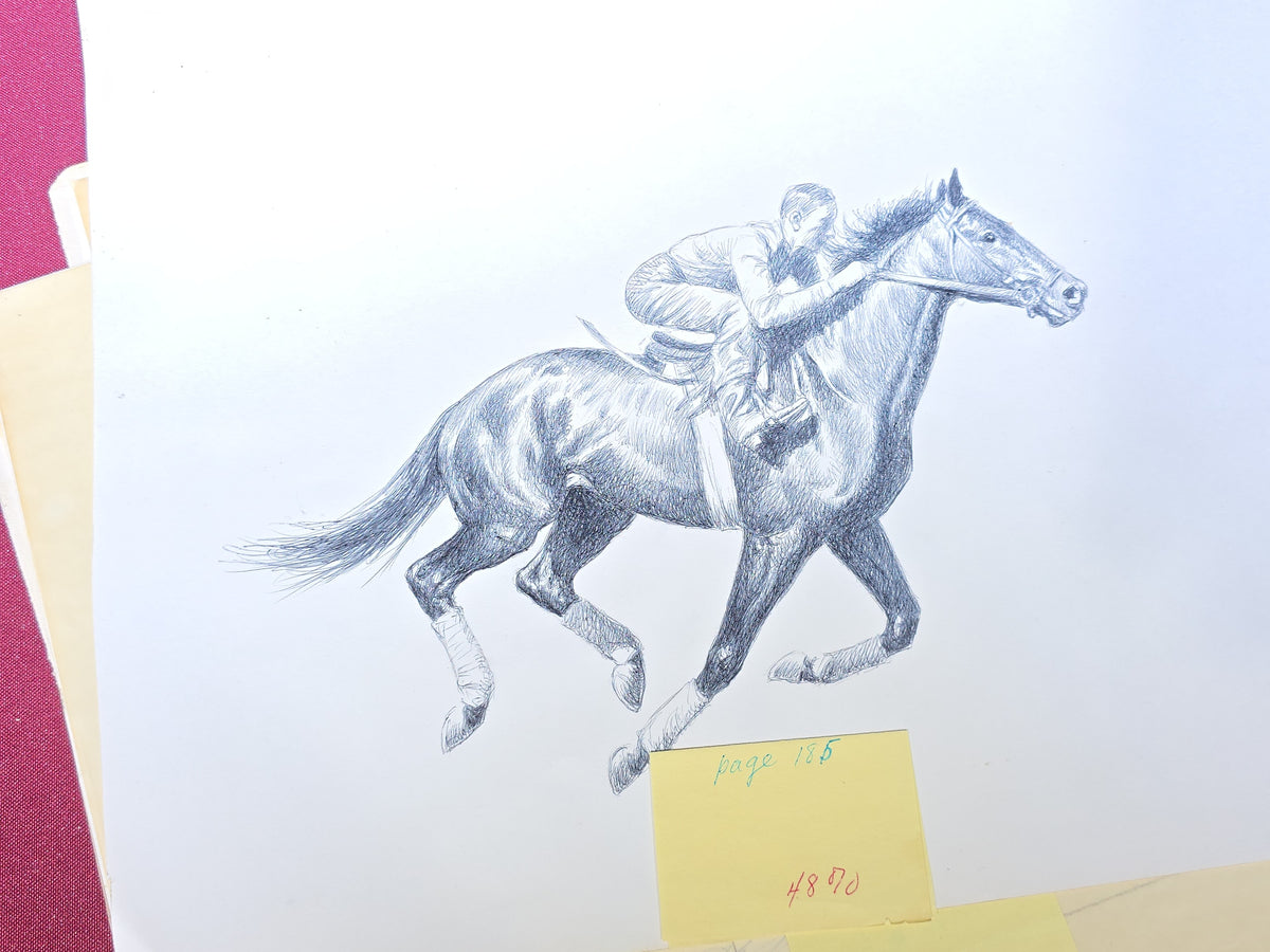Grouping of Seven Vintage Original Drawings by C. W. Anderson, Equestrian Subjects including Brown Jack, Spotted Wonder, and Right Royal, with Manuscript Notes