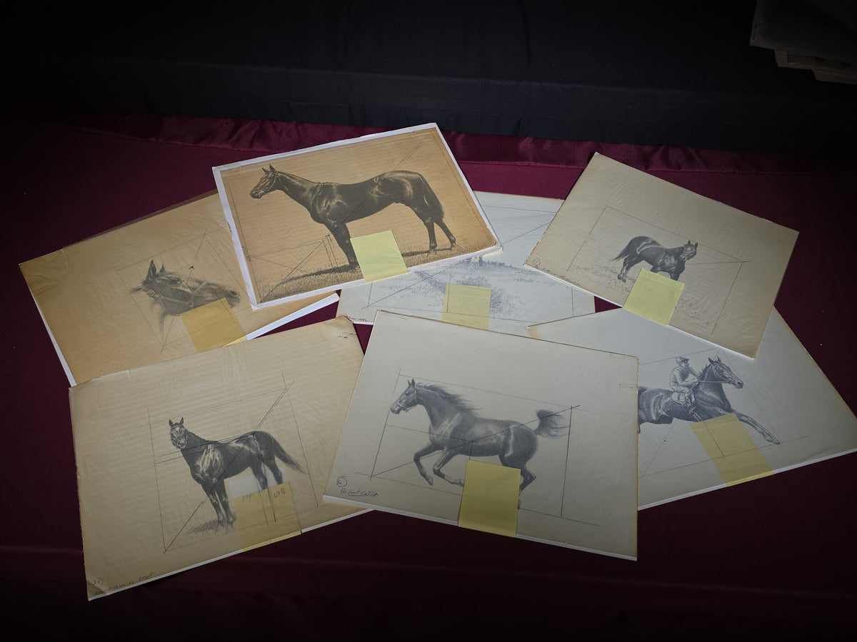 Grouping of Seven Vintage Original Pencil and Ink Drawings of Horses by C.W. Anderson, with Verso Publication Notes including Man O' War, John Peel, and The Lost Catch