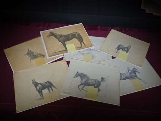 Grouping of Seven Vintage Original Pencil and Ink Drawings of Horses by C.W. Anderson, with Verso Publication Notes including Man O' War, John Peel, and The Lost Catch