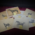 Lot 012 - Grouping of Seven Vintage Original Pencil and Ink Drawings of Horses by C.W. Anderson, with Verso Publication Notes Including Man O' War, John Peel, and the Lost Catch, 14-1/2" W x 11-1/2" H each