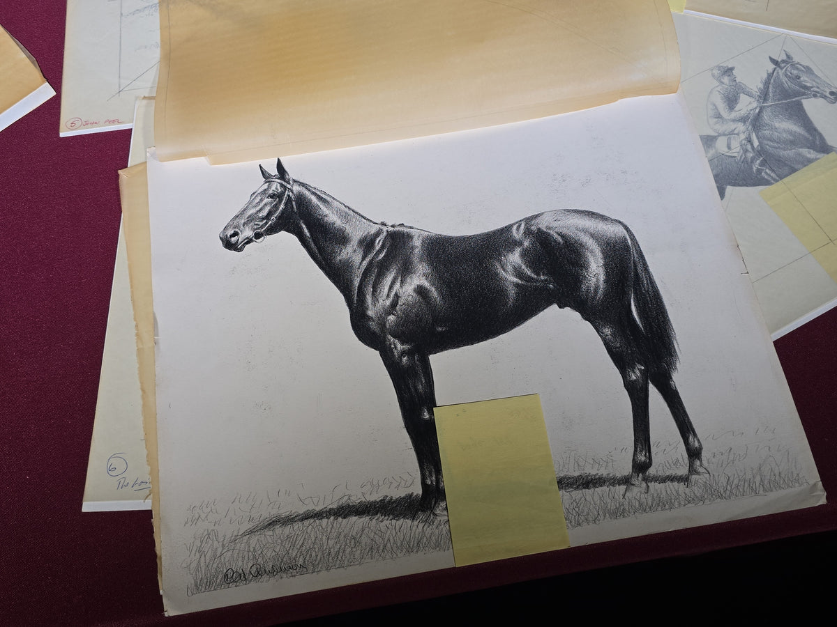 Grouping of Seven Vintage Original Pencil and Ink Drawings of Horses by C.W. Anderson, with Verso Publication Notes including Man O' War, John Peel, and The Lost Catch