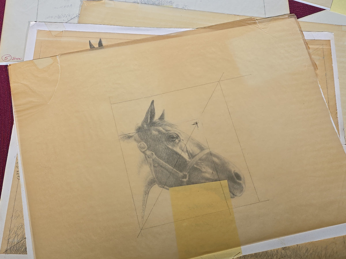 Grouping of Seven Vintage Original Pencil and Ink Drawings of Horses by C.W. Anderson, with Verso Publication Notes including Man O' War, John Peel, and The Lost Catch