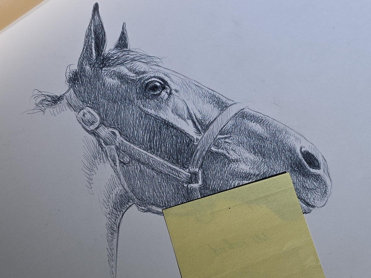 Grouping of Seven Vintage Original Pencil and Ink Drawings of Horses by C.W. Anderson, with Verso Publication Notes including Man O' War, John Peel, and The Lost Catch