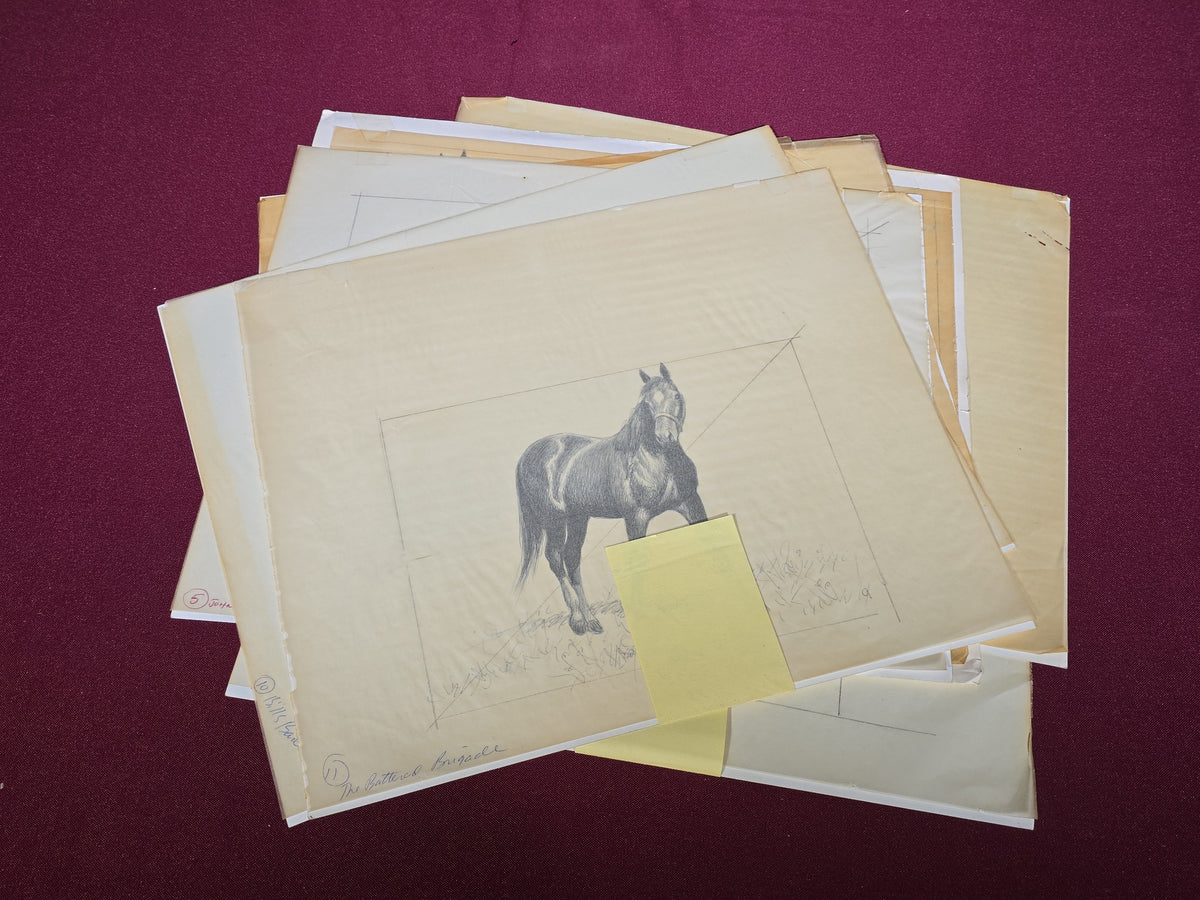 Grouping of Seven Vintage Original Pencil and Ink Drawings of Horses by C.W. Anderson, with Verso Publication Notes including Man O' War, John Peel, and The Lost Catch