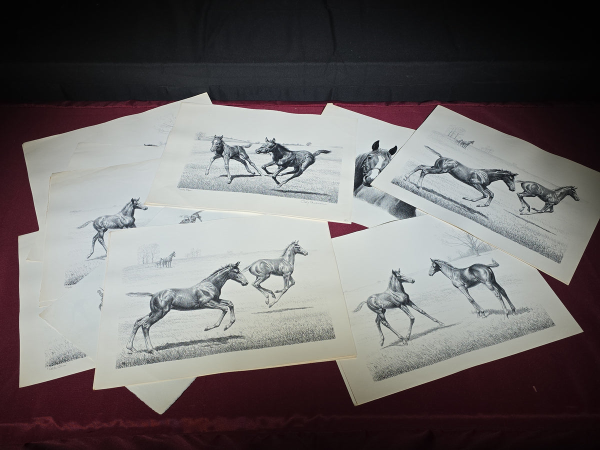 Grouping of Vintage Unframed Equine Lithograph Prints by C.W. Anderson including One Unsigned Original Pencil Study Attributed to the Artist