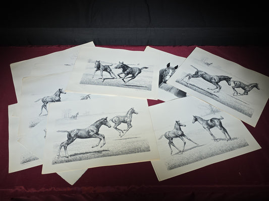 Grouping of Vintage Unframed Equine Lithograph Prints by C.W. Anderson including One Unsigned Original Pencil Study Attributed to the Artist