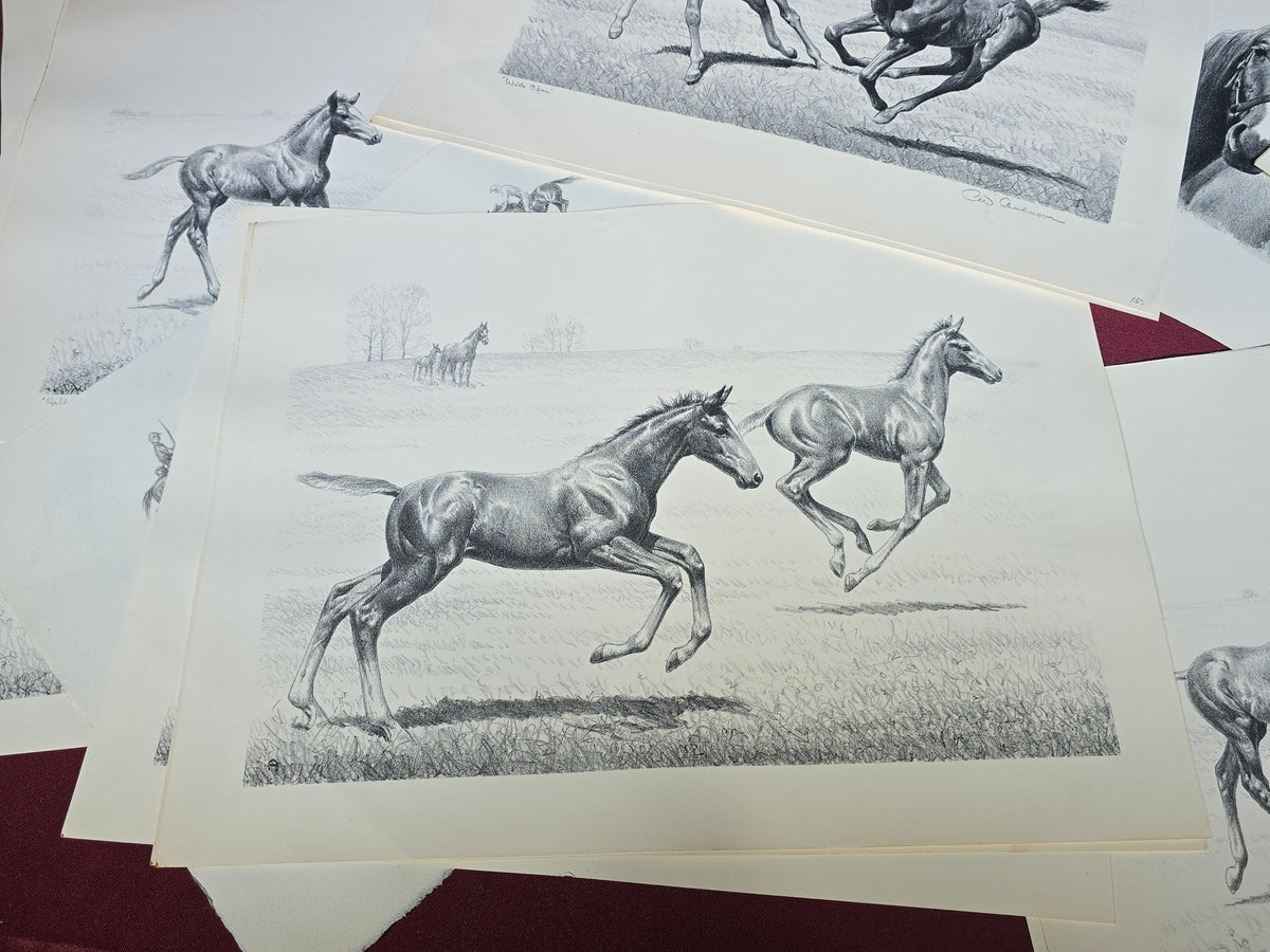 Grouping of Vintage Unframed Equine Lithograph Prints by C.W. Anderson including One Unsigned Original Pencil Study Attributed to the Artist