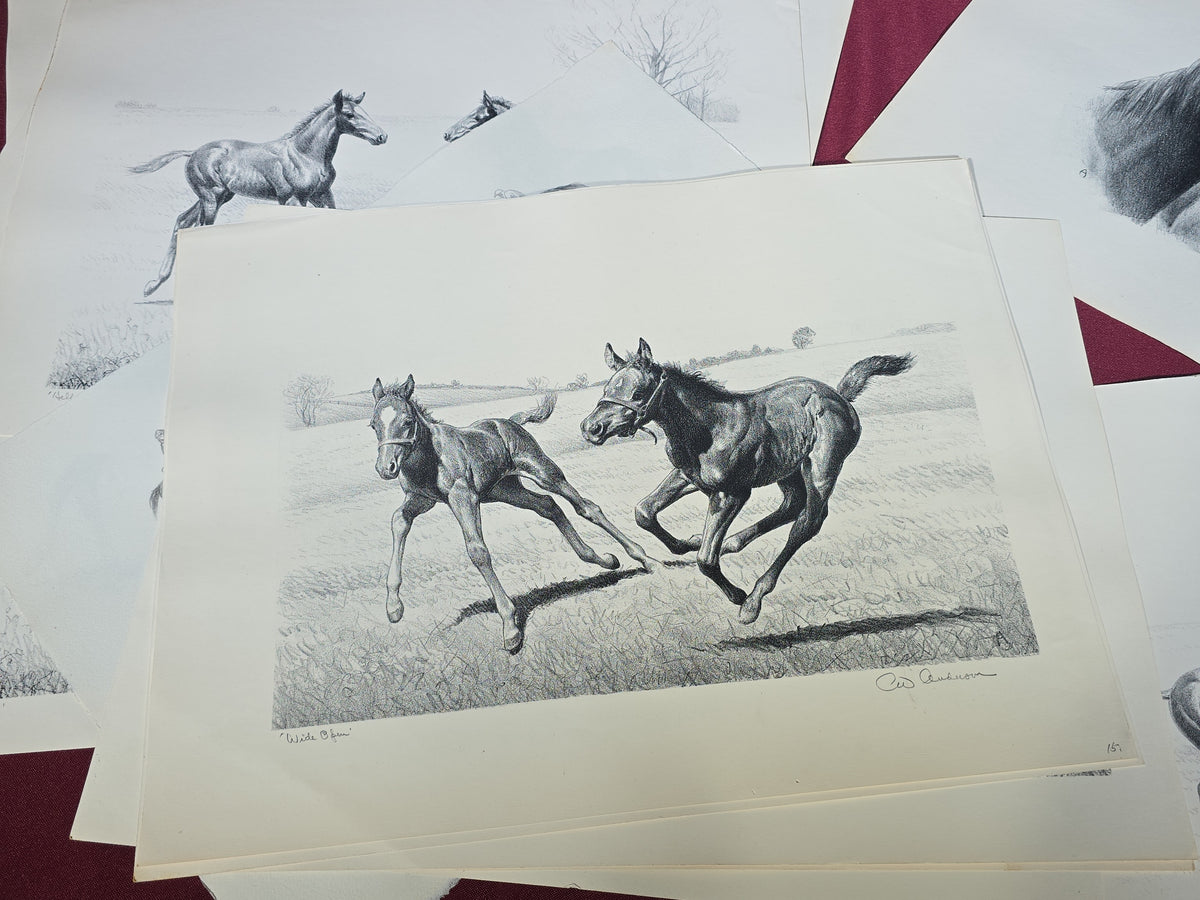 Grouping of Vintage Unframed Equine Lithograph Prints by C.W. Anderson including One Unsigned Original Pencil Study Attributed to the Artist
