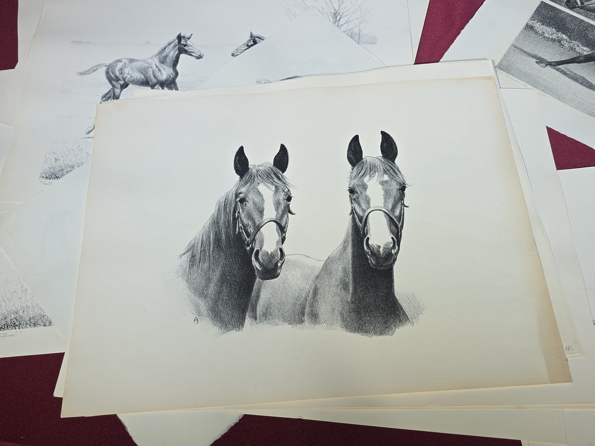 Grouping of Vintage Unframed Equine Lithograph Prints by C.W. Anderson including One Unsigned Original Pencil Study Attributed to the Artist