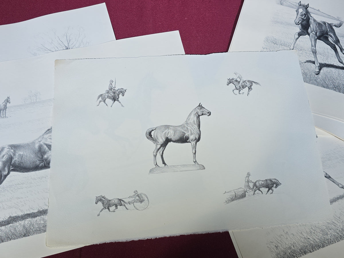 Grouping of Vintage Unframed Equine Lithograph Prints by C.W. Anderson including One Unsigned Original Pencil Study Attributed to the Artist
