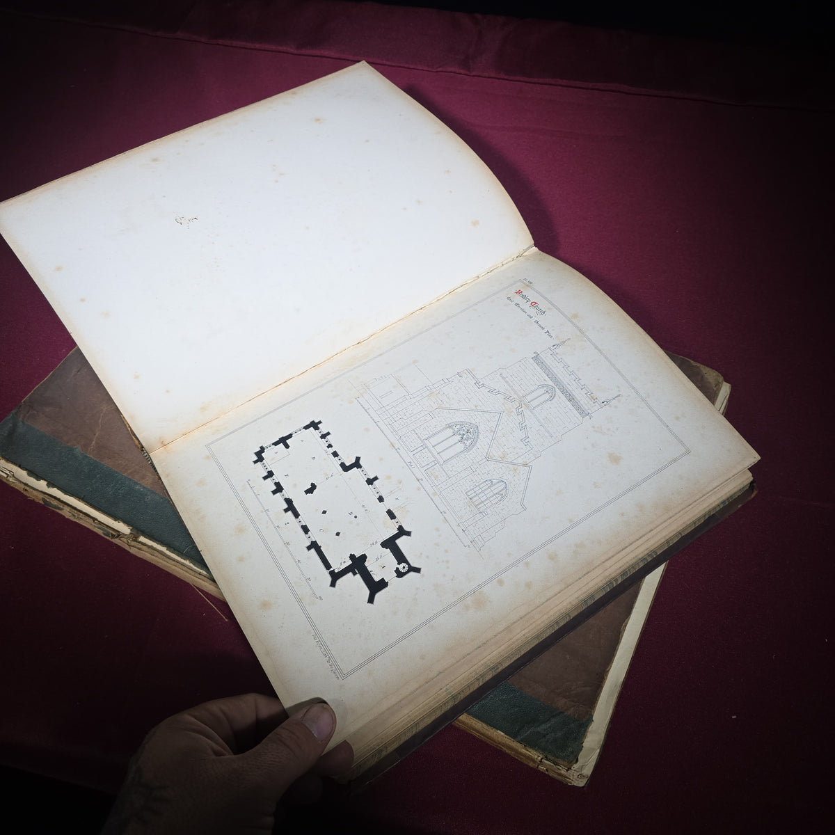 Grouping of Four Antique Books including "Pericles and Aspasia" Limited Edition No. 105, 1903, and "Report of the State Botanist" 1895 with Color Mushroom Plates