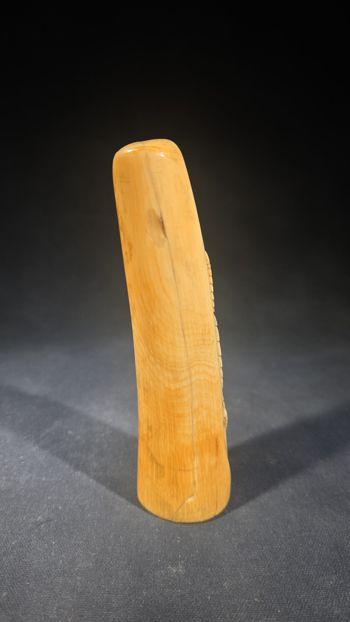 Antique Hand-Carved Ivory Tusk with Crocodile in Relief