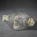 Lot 006 - Vintage Inuit Carved Soapstone Seal Figure by Pauloosie Thomas