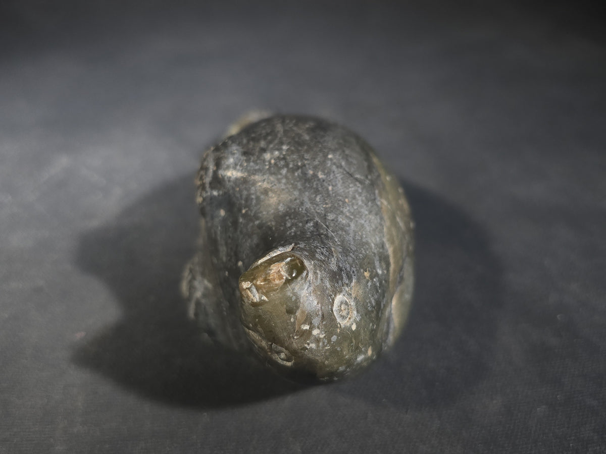 Vintage Inuit Carved Soapstone Seal Figure by Pauloosie Thomas