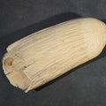 Lot 002 - Antique Undecorated Sperm Whale Tooth
