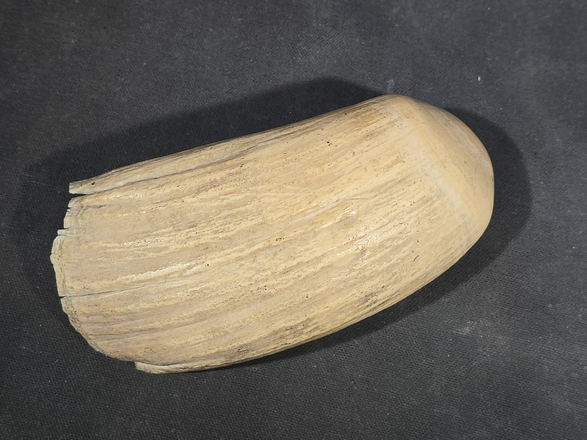 Antique Undecorated Sperm Whale Tooth