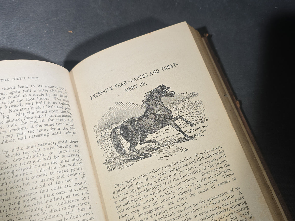"The New System of Educating Horses" Antique Illustrated Equestrian Book by D. Magner, Eleventh Edition, Published by Lovell Printing and Publishing Co., Rouses Point, New York, 1876