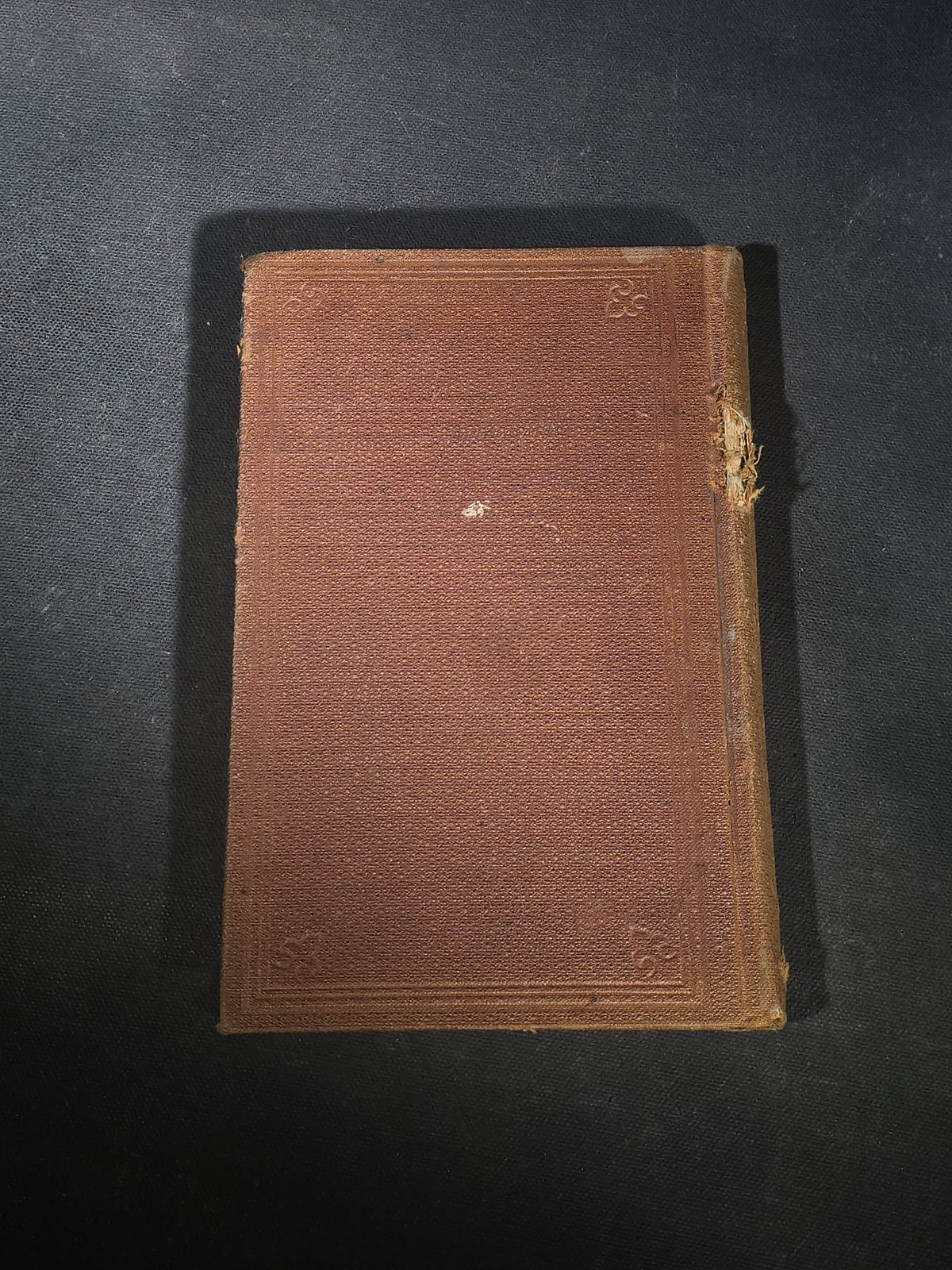 "The New System of Educating Horses" Antique Illustrated Equestrian Book by D. Magner, Eleventh Edition, Published by Lovell Printing and Publishing Co., Rouses Point, New York, 1876