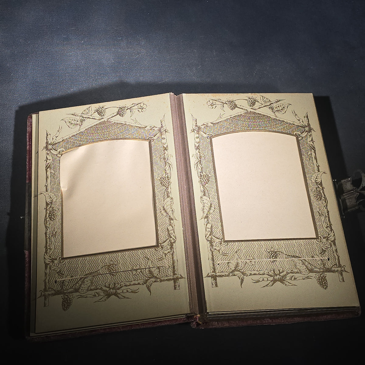 Antique Victorian Velvet-Covered Cabinet Card and Carte de Visite C.D.V. Photo Album with Celluloid Cover Decorations, Containing Portrait Photographs and Funeral Memorial Cards including Adelia Woodward, 1894
