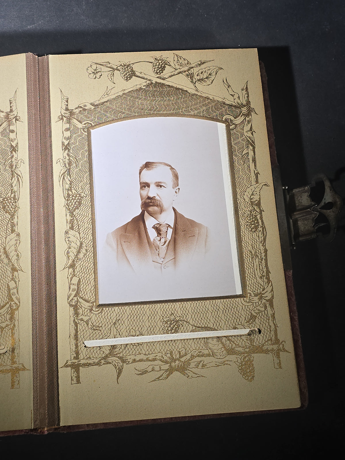Antique Victorian Velvet-Covered Cabinet Card and Carte de Visite C.D.V. Photo Album with Celluloid Cover Decorations, Containing Portrait Photographs and Funeral Memorial Cards including Adelia Woodward, 1894