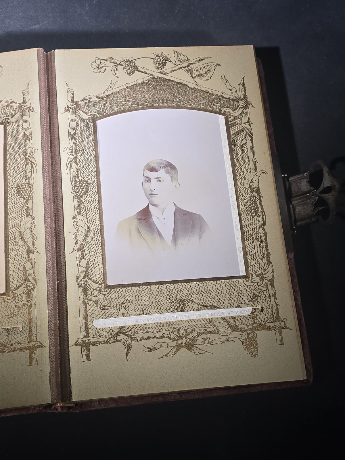 Antique Victorian Velvet-Covered Cabinet Card and Carte de Visite C.D.V. Photo Album with Celluloid Cover Decorations, Containing Portrait Photographs and Funeral Memorial Cards including Adelia Woodward, 1894