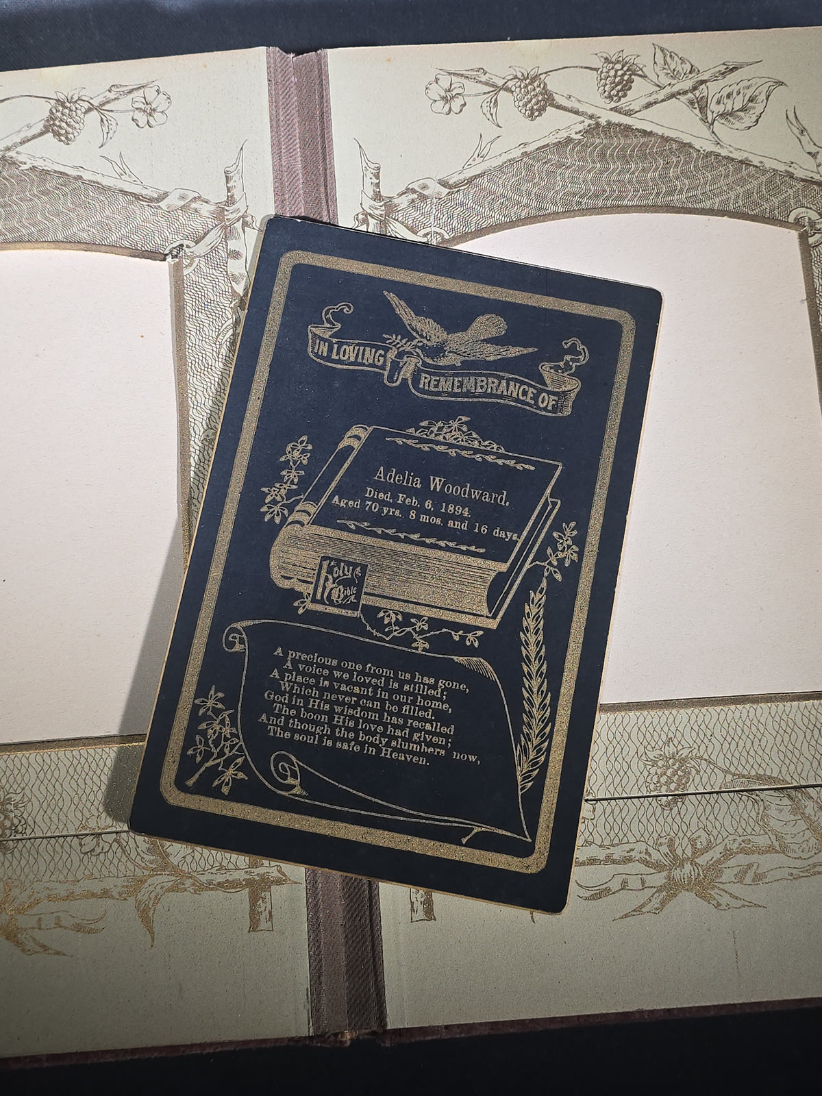 Antique Victorian Velvet-Covered Cabinet Card and Carte de Visite C.D.V. Photo Album with Celluloid Cover Decorations, Containing Portrait Photographs and Funeral Memorial Cards including Adelia Woodward, 1894