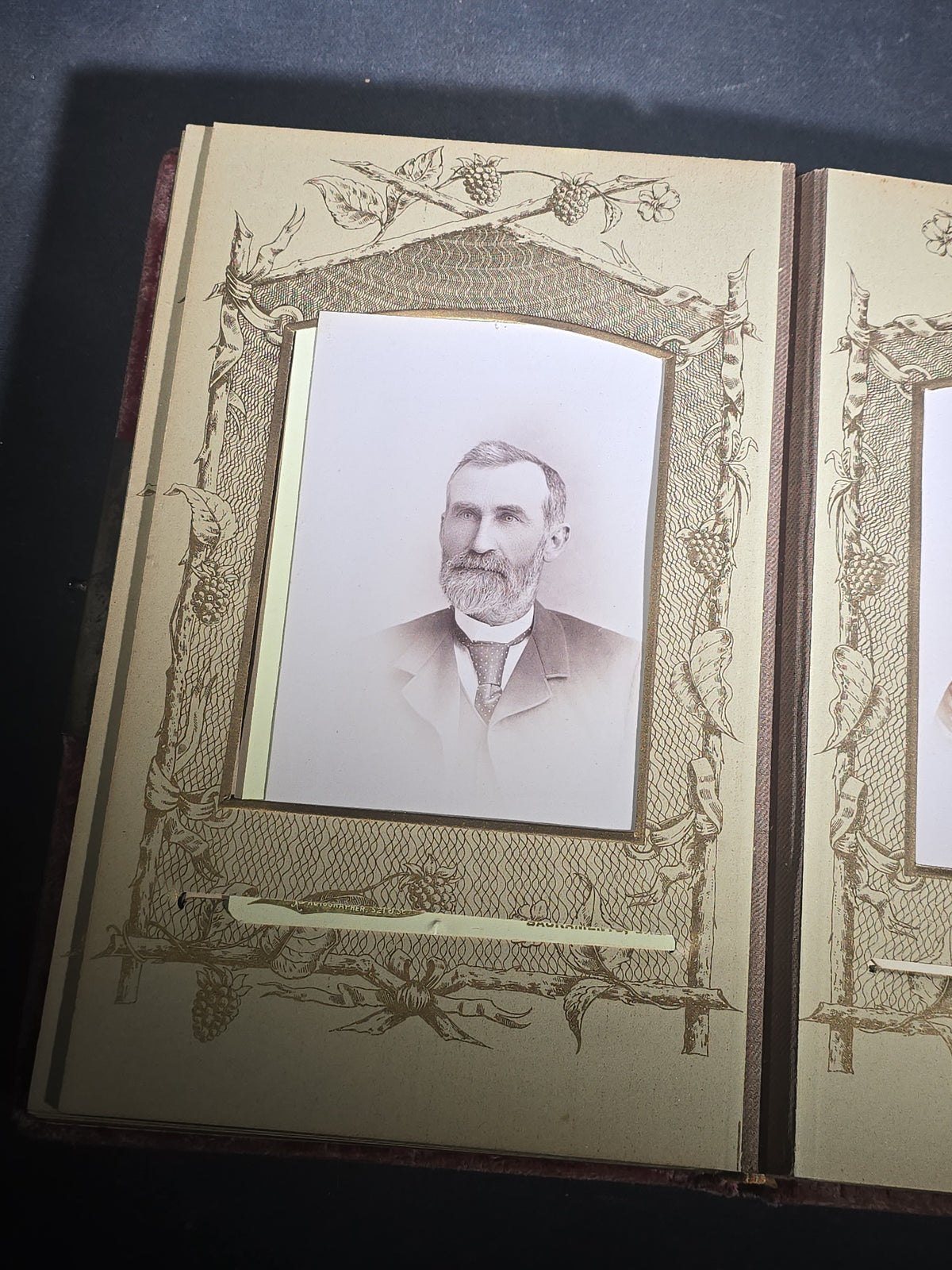 Antique Victorian Velvet-Covered Cabinet Card and Carte de Visite C.D.V. Photo Album with Celluloid Cover Decorations, Containing Portrait Photographs and Funeral Memorial Cards including Adelia Woodward, 1894