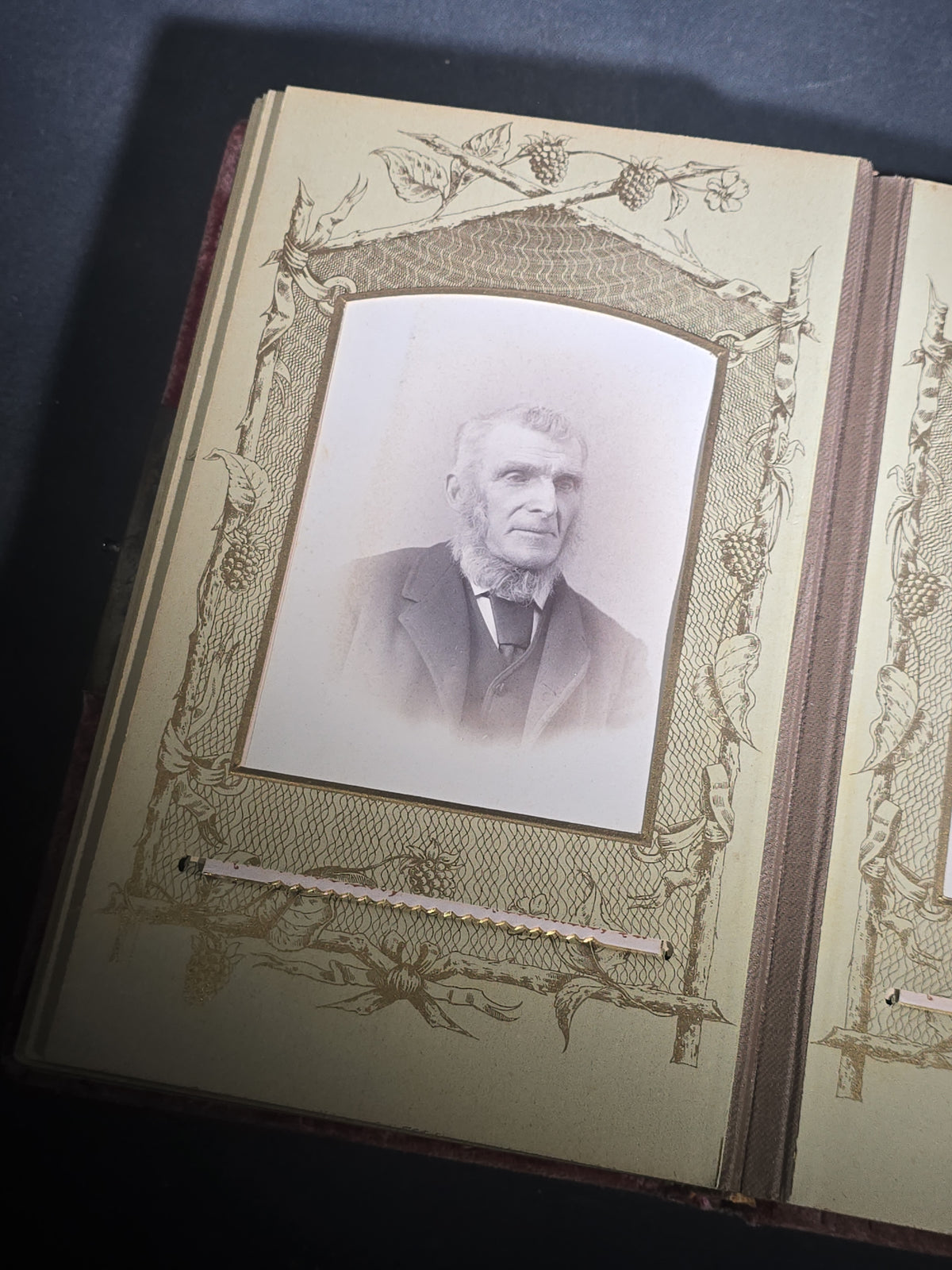 Antique Victorian Velvet-Covered Cabinet Card and Carte de Visite C.D.V. Photo Album with Celluloid Cover Decorations, Containing Portrait Photographs and Funeral Memorial Cards including Adelia Woodward, 1894