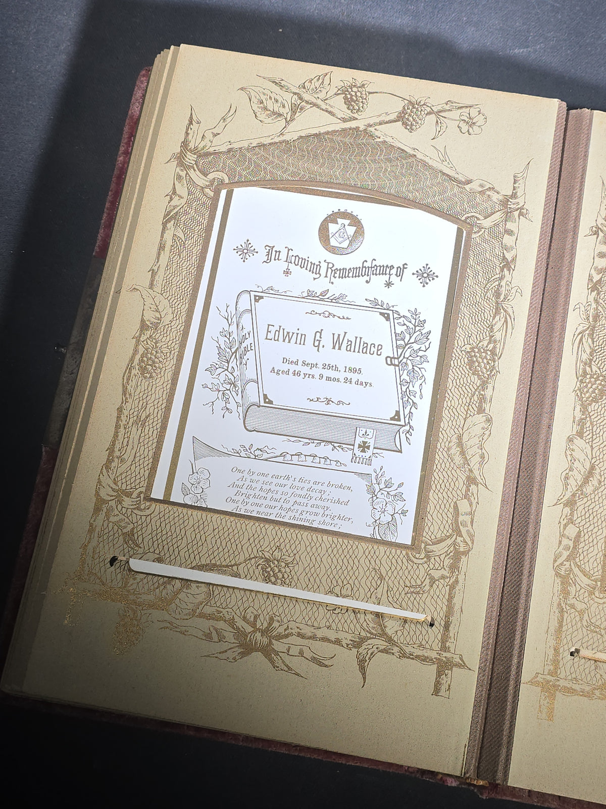 Antique Victorian Velvet-Covered Cabinet Card and Carte de Visite C.D.V. Photo Album with Celluloid Cover Decorations, Containing Portrait Photographs and Funeral Memorial Cards including Adelia Woodward, 1894