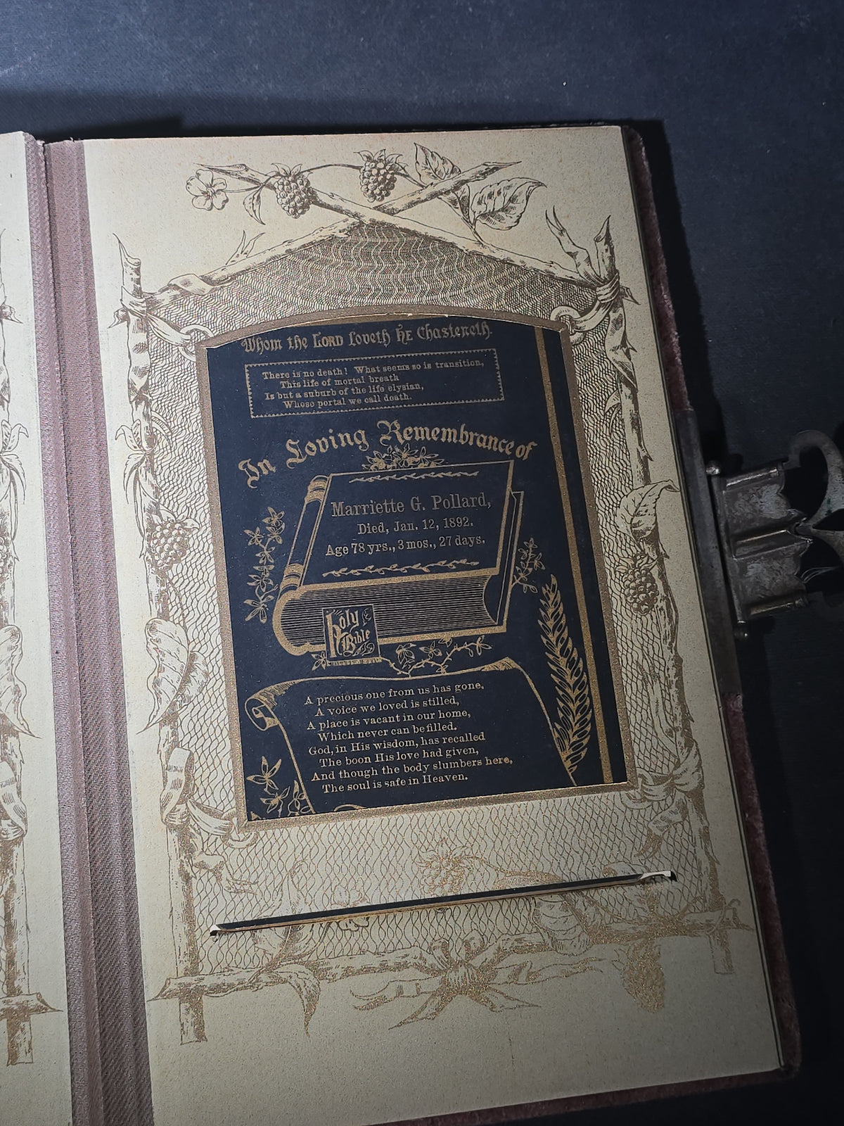 Antique Victorian Velvet-Covered Cabinet Card and Carte de Visite C.D.V. Photo Album with Celluloid Cover Decorations, Containing Portrait Photographs and Funeral Memorial Cards including Adelia Woodward, 1894