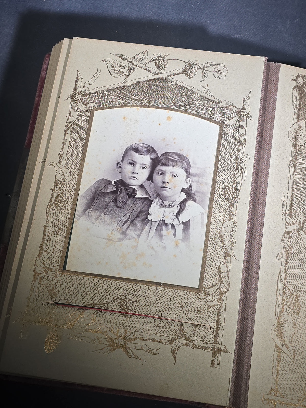 Antique Victorian Velvet-Covered Cabinet Card and Carte de Visite C.D.V. Photo Album with Celluloid Cover Decorations, Containing Portrait Photographs and Funeral Memorial Cards including Adelia Woodward, 1894