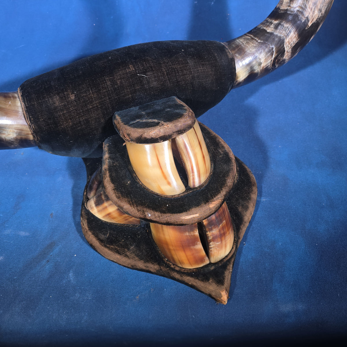 Antique Mounted Steer Horn and Hoof Wall Display on Velvet-Covered Shield Plaque