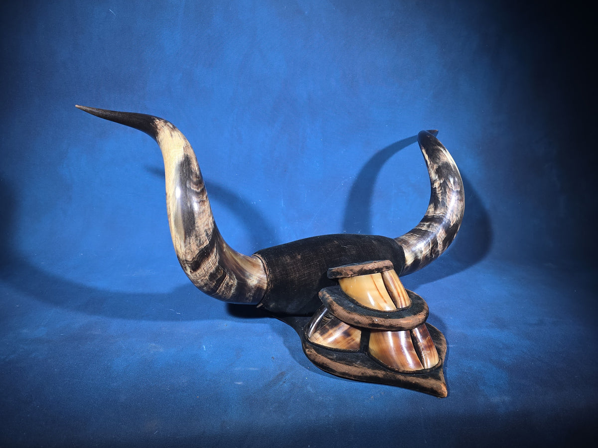 Antique Mounted Steer Horn and Hoof Wall Display on Velvet-Covered Shield Plaque