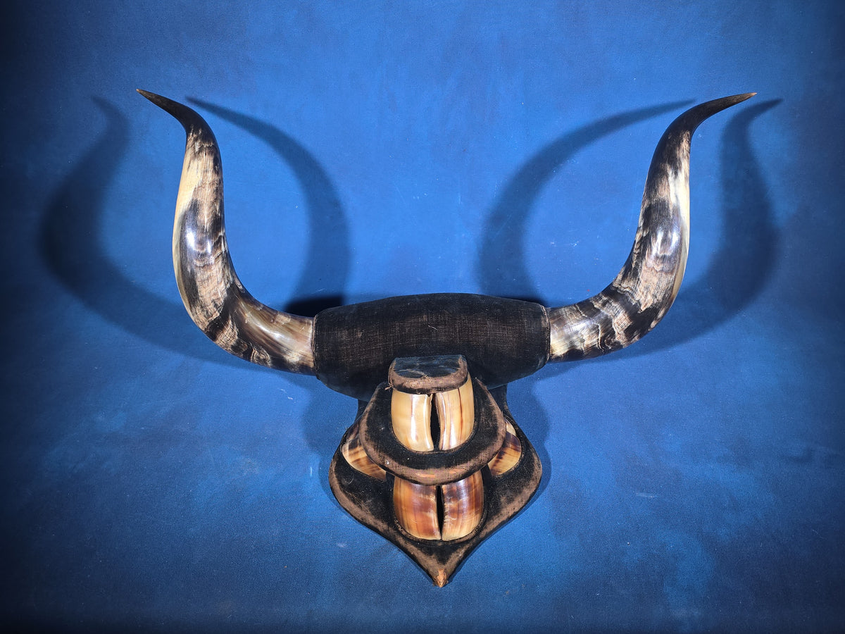 Antique Mounted Steer Horn and Hoof Wall Display on Velvet-Covered Shield Plaque